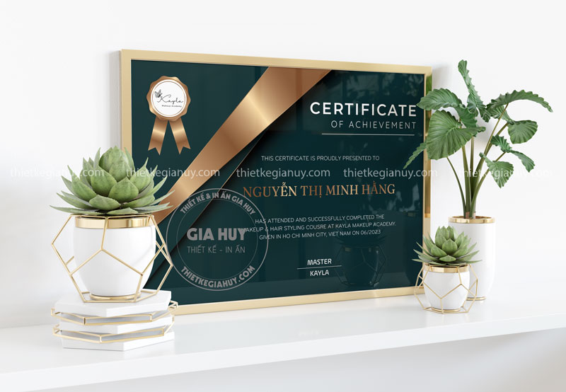 bang khen tham my vien